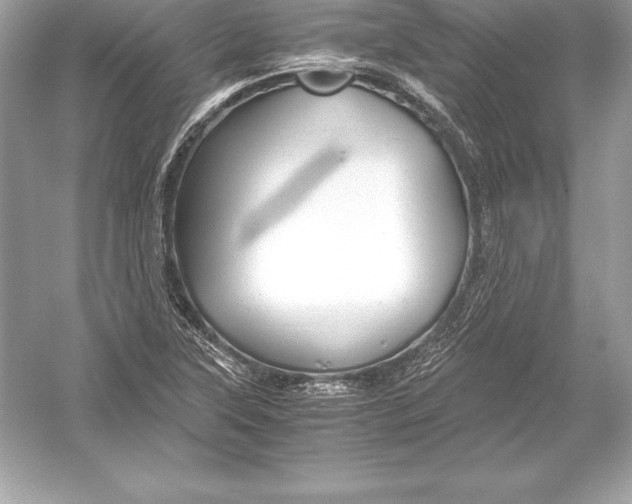 X0000051871315200507221913