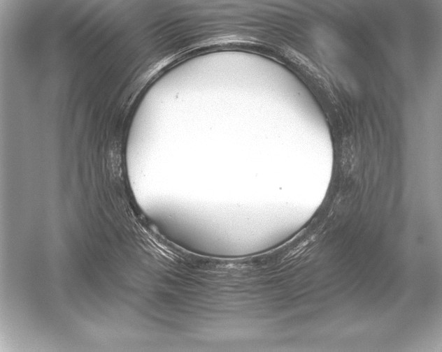 X0000051871321200507221913