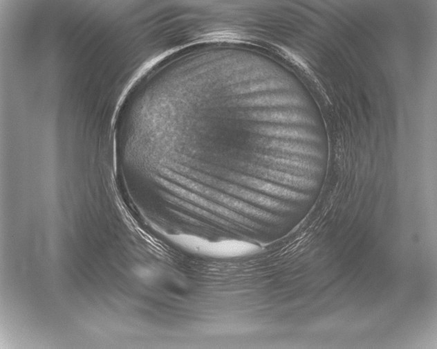 X0000051871323200507221913
