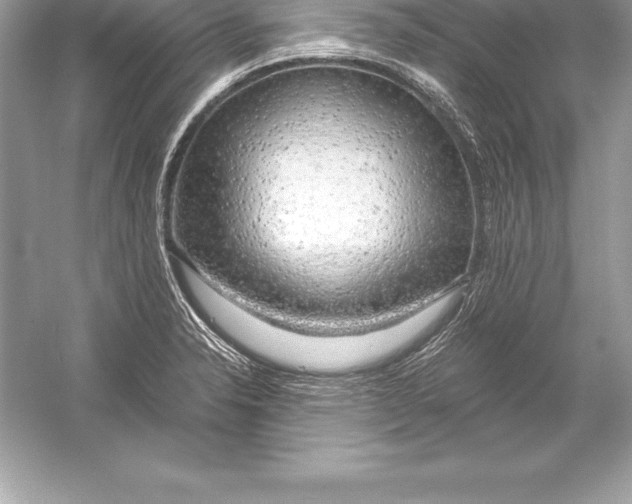 X0000051871326200507221913