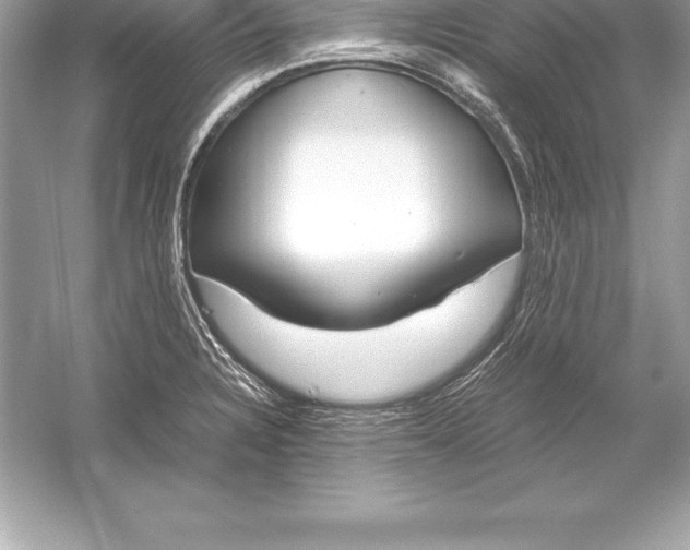 X0000051871328200507221913
