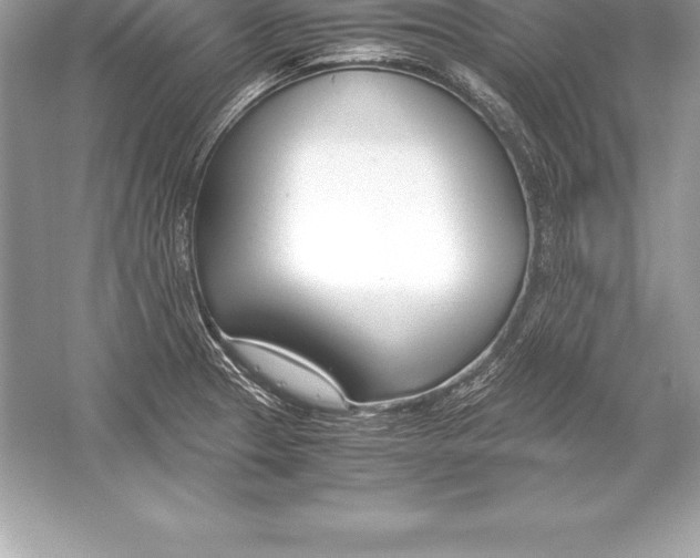 X0000051871329200507221913