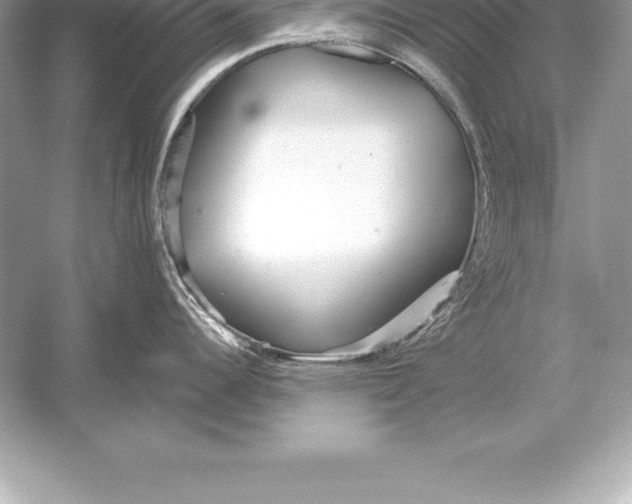 X0000051871344200507221913