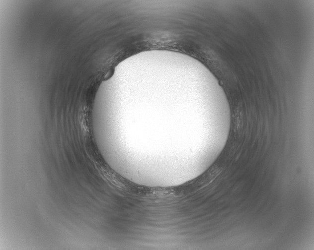 X0000051871346200507221912