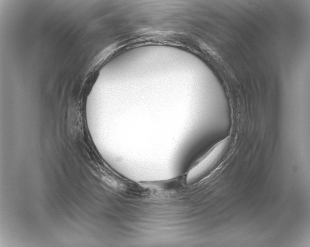 X0000051871354200507221912