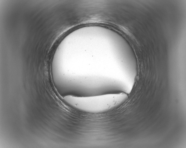 X0000051871356200507221912