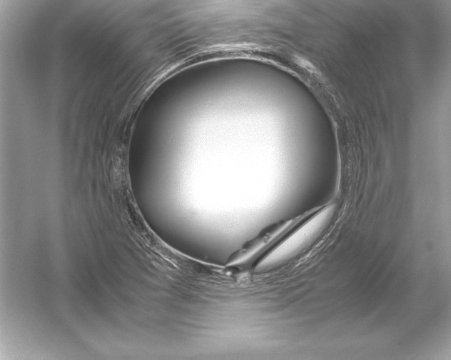 X0000051871361200507221912