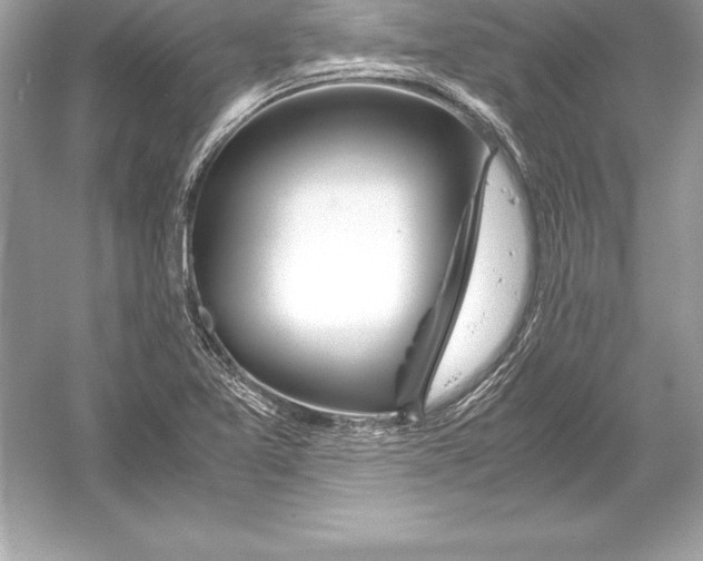 X0000051871365200507221912