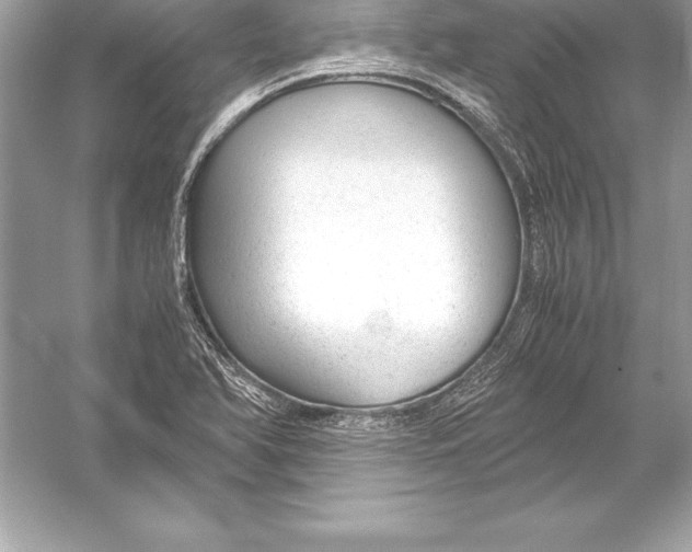 X0000051871366200507221912