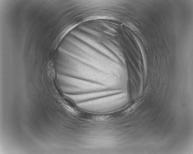 X0000051871369200507221912