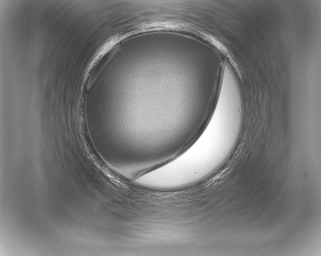 X0000051871373200507221912