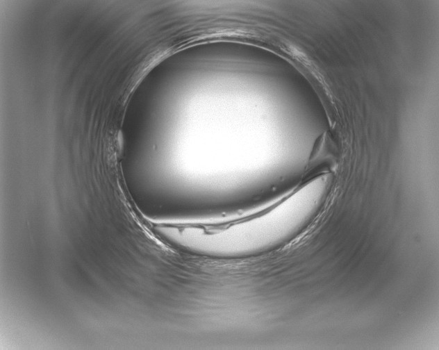 X0000051871377200507221912