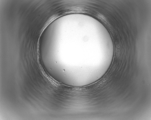 X0000051871378200507221912