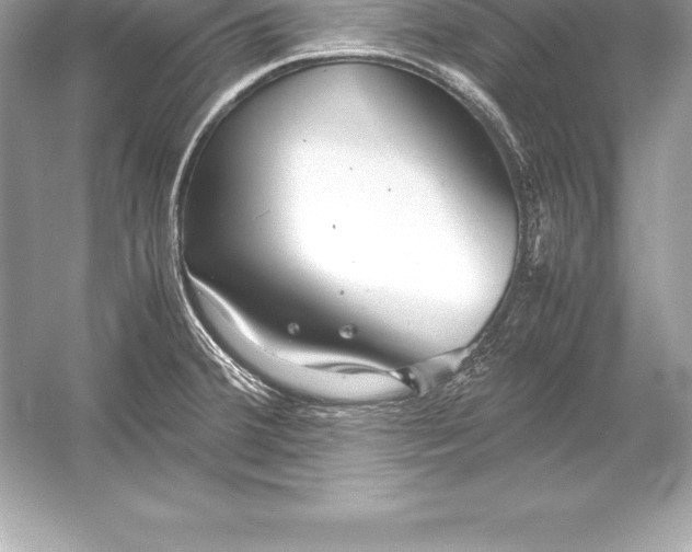X0000051871380200507221912