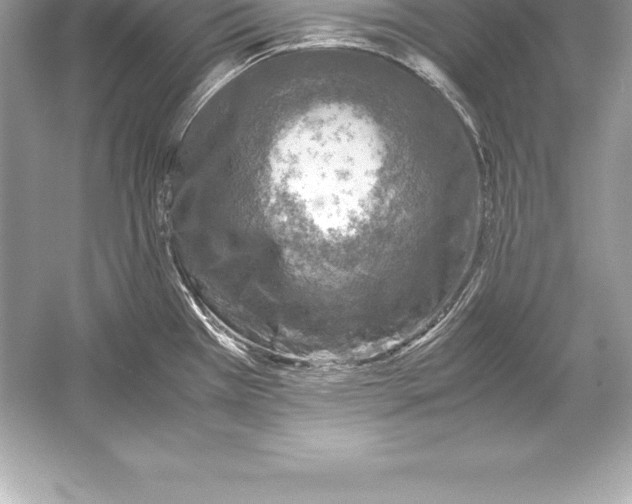 X0000051871385200507221912