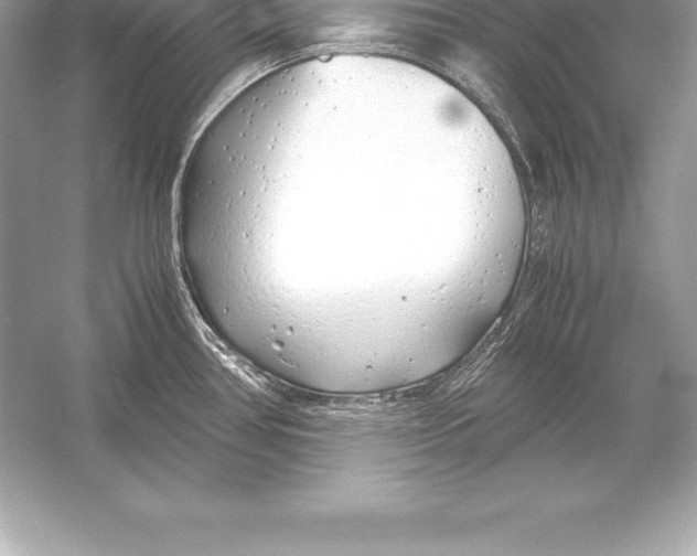 X0000051871386200507221912
