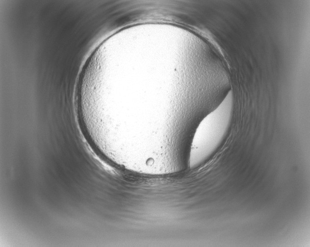 X0000051871387200507221912