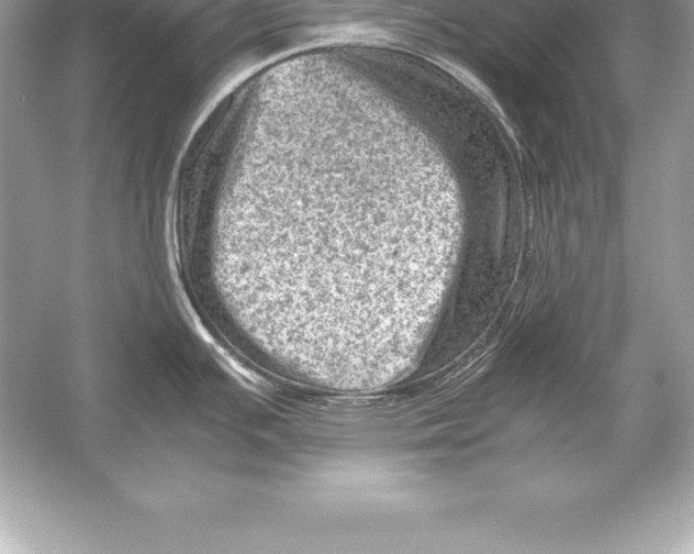 X0000051871391200507221912