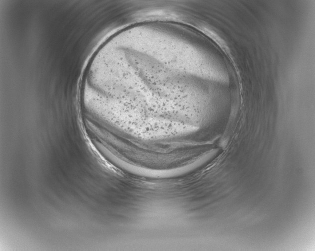 X0000051871392200507221912