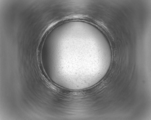 X0000051871404200507221911