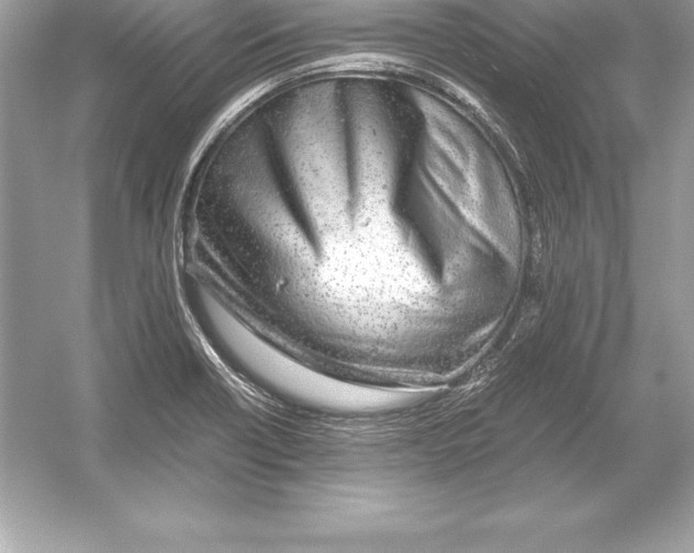 X0000051871418200507221911