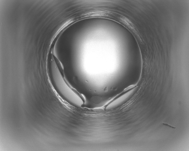 X0000051871426200507221911