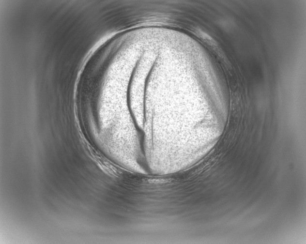 X0000051871427200507221911
