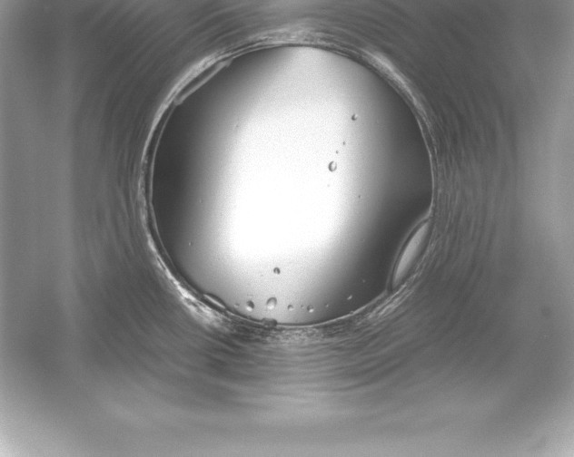 X0000051871434200507221911