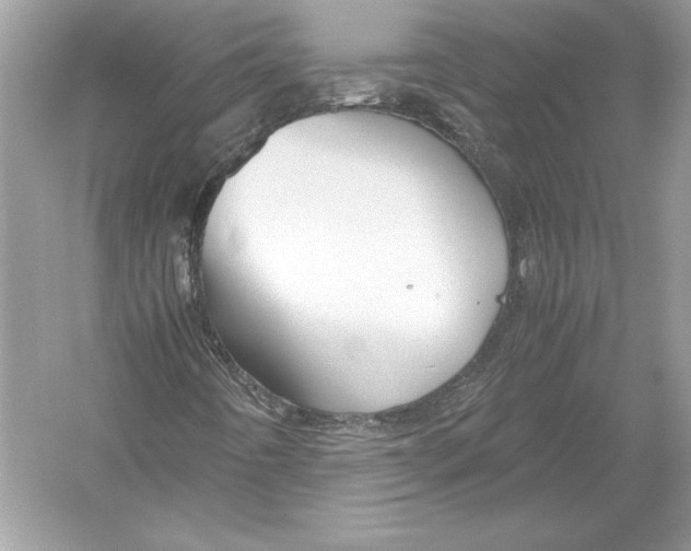 X0000051871442200507221911