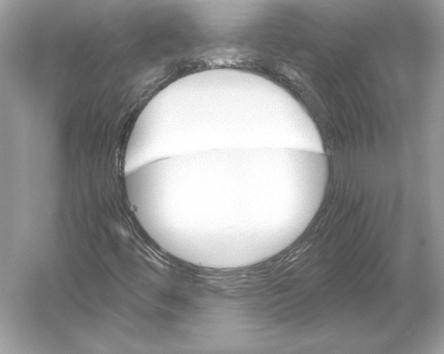 X0000051871444200507221911
