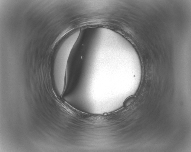 X0000051871450200507221911