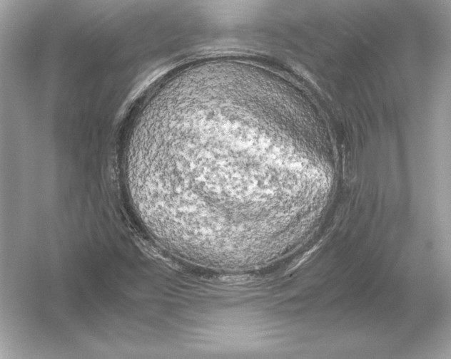 X0000051871453200507221910