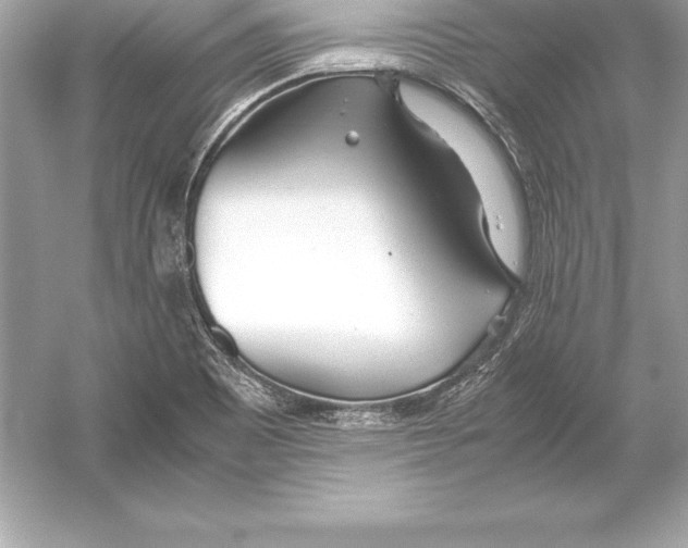 X0000051871465200507221910