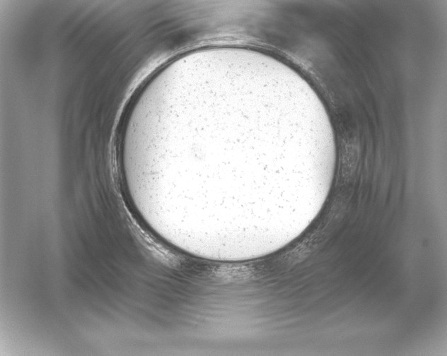 X0000051871466200507221910