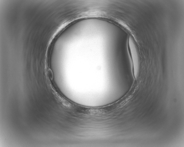 X0000051871469200507221910