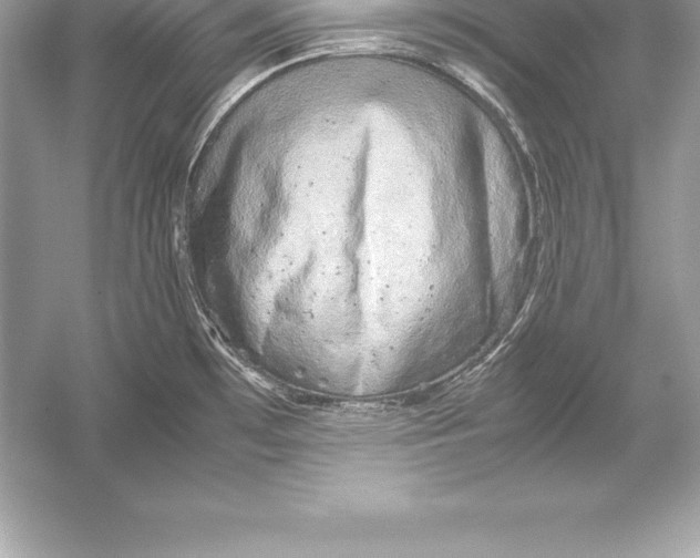 X0000051871481200507221910