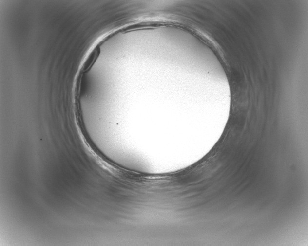 X0000051871483200507221910
