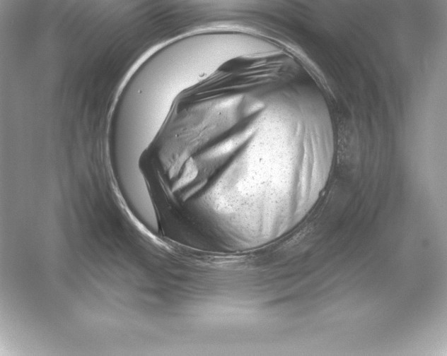 X0000051871484200507221910