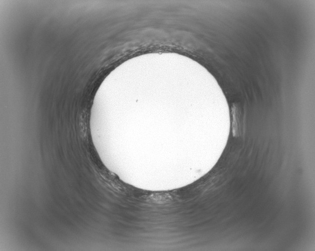 X0000051871491200507221909