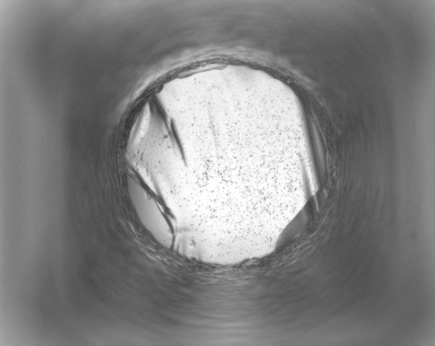 X0000051871496200507221909