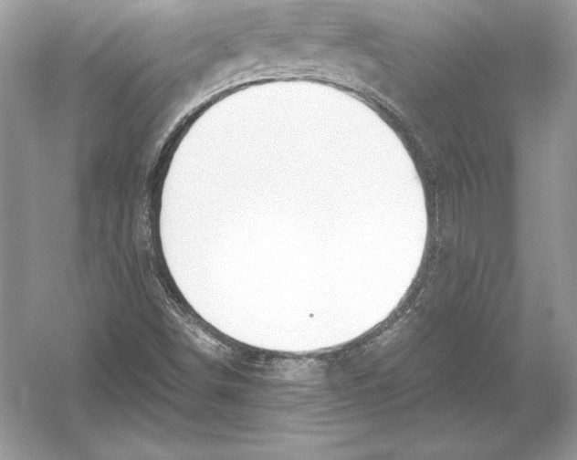 X0000051871498200507221909