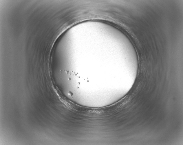 X0000051871513200507221909