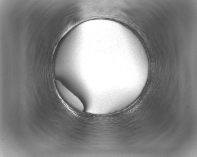 X0000051871521200507221910