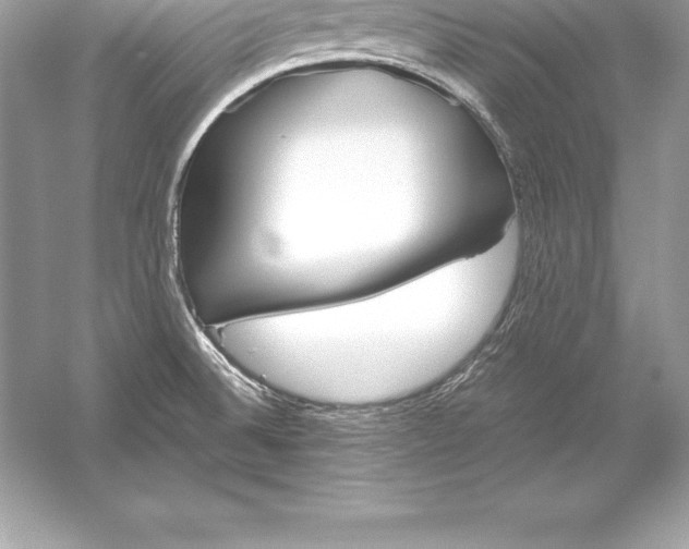 X0000051871524200507221910