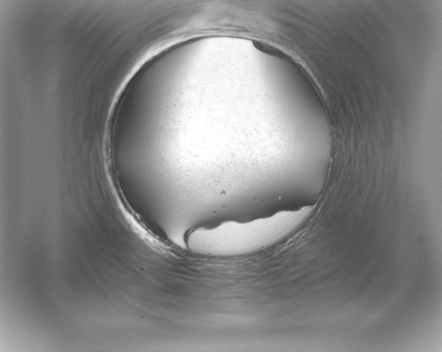 X0000051871531200507221910