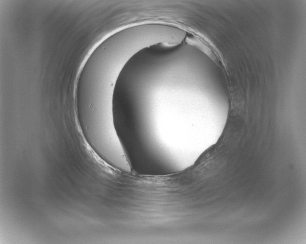X0000051871532200507221910