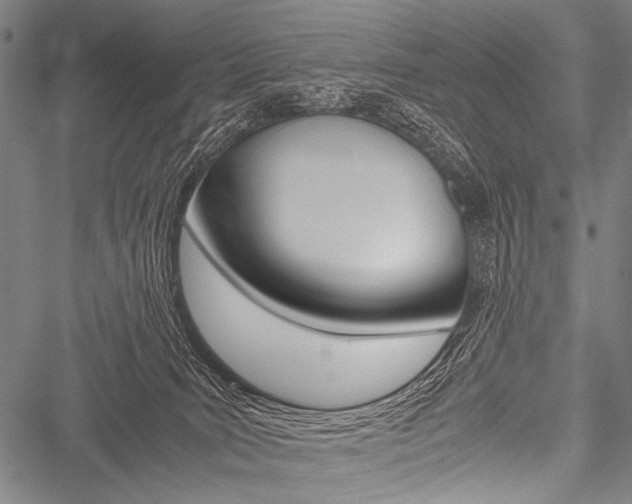 X0000051880035200506240948