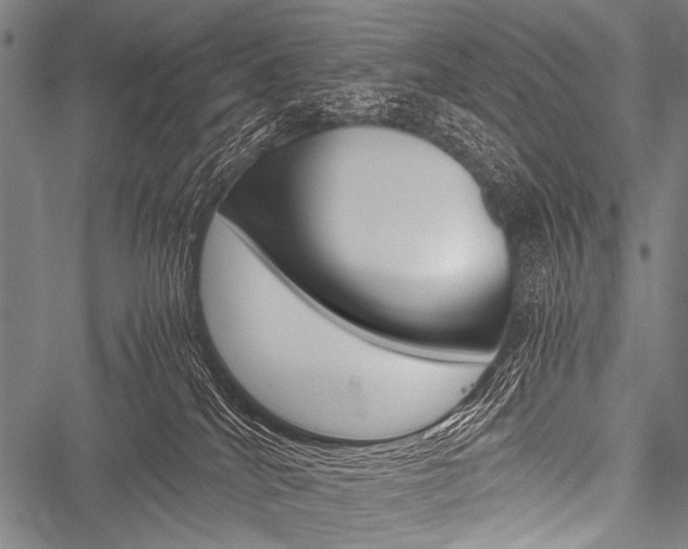 X0000051880040200506240948
