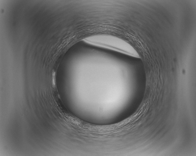 X0000051880041200506240948