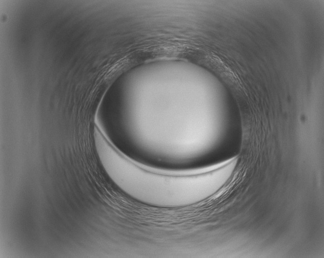 X0000051880045200506240948